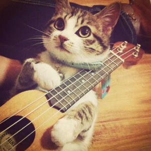 日本护士脱裤子自慰
