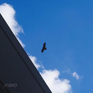 日本护士脱裤子自慰
